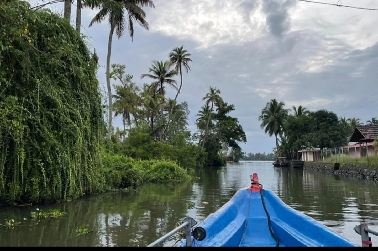 A boat passing palm-lined canals in Alleppey