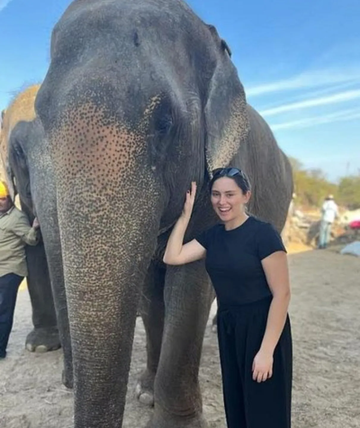 A traveller beside an elephant