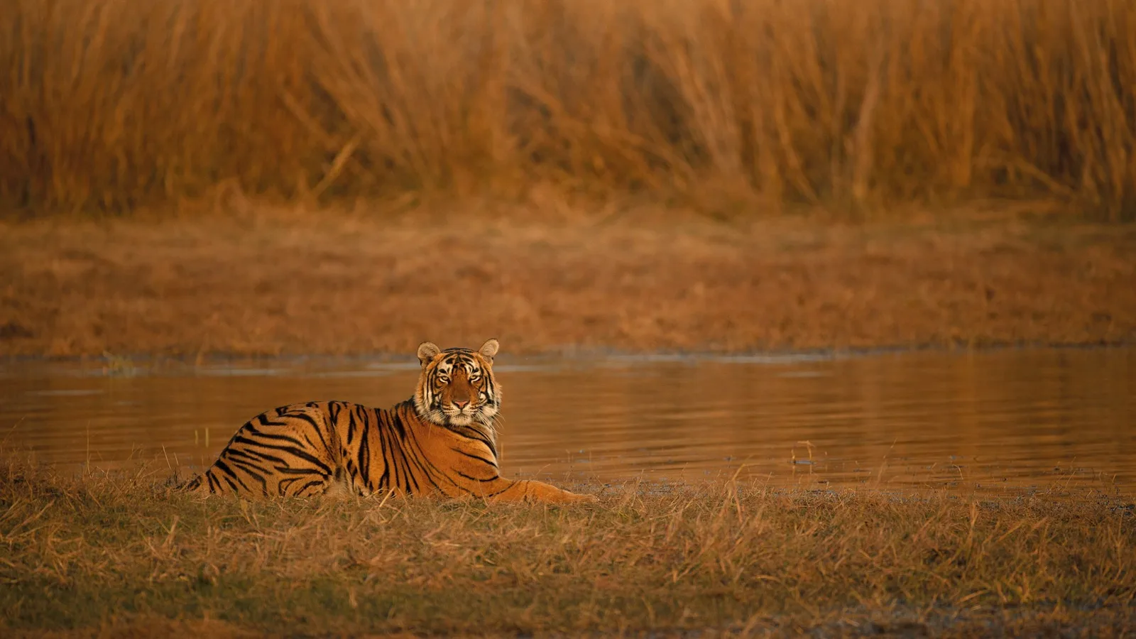 Central India
